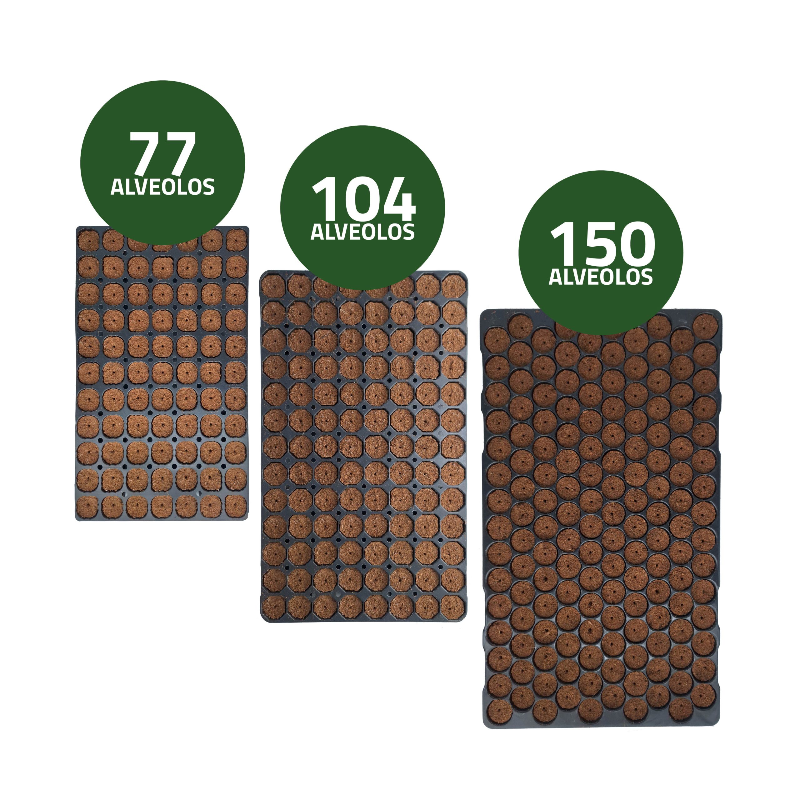Semilleros secos para germinación 54 x 27 x 5 cm · Pack 10 unidades
